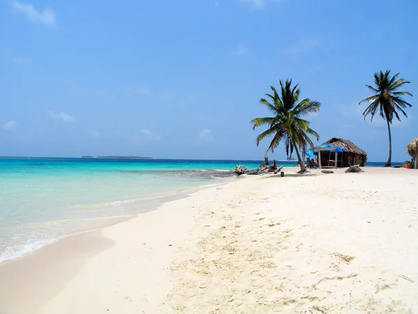 Όμορφη Τροπική Παραλία Φοίνικα Καρύδας Στη Θάλασσα Της Καραϊβικής — Φωτογραφία Αρχείου