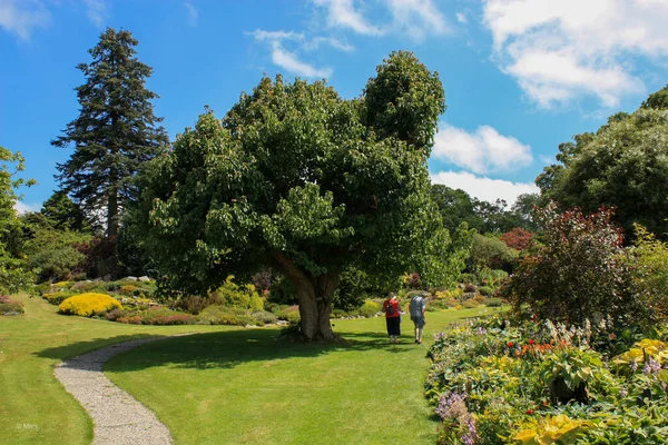 Schöne Aussicht Auf Den Park — Stockfoto