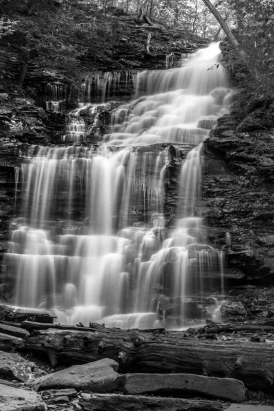 Cascade Dans Forêt — Photo