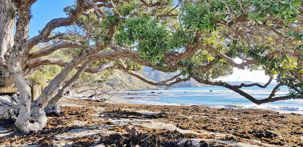 美しい海の景色 — ストック写真