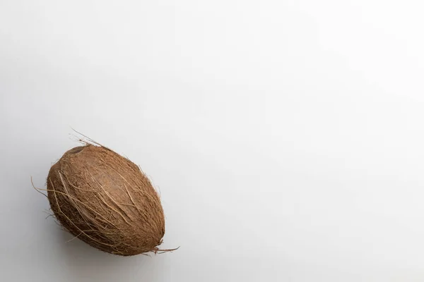 白い背景にココナッツ — ストック写真