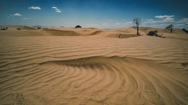Prachtig Uitzicht Woestijn — Stockfoto