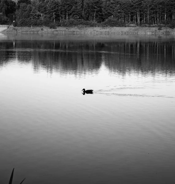 Bateau Pêche Sur Lac — Photo