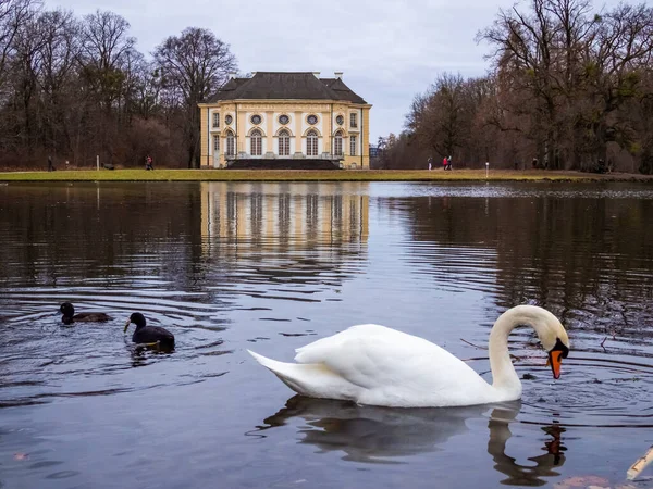 Cisnes Lago Parque — Foto de Stock