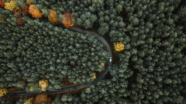 Воздушный Вид Дорогу Лесу — стоковое фото