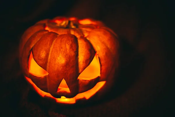 Calabaza Halloween Con Hojas Brillantes Sobre Fondo Oscuro —  Fotos de Stock