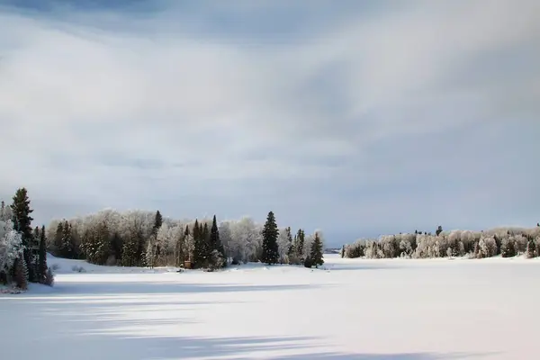 Zimní Krajina Zasněženými Stromy — Stock fotografie