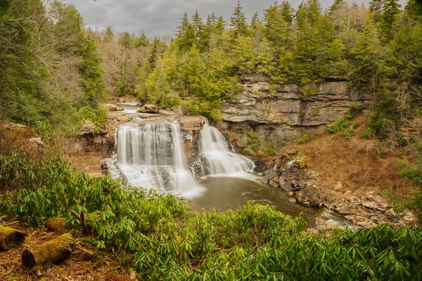 Wasserfall Wald — Stockfoto