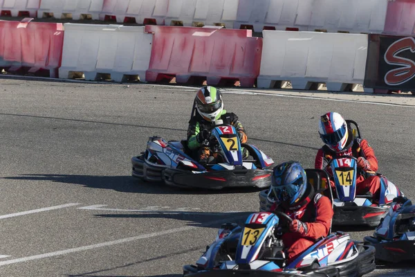 Vista Del Campeonato Karting —  Fotos de Stock