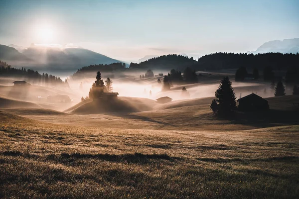 Όμορφο Τοπίο Ένα Πεδίο Ομίχλης Και Ένα Ομιχλώδες Πρωινό — Φωτογραφία Αρχείου