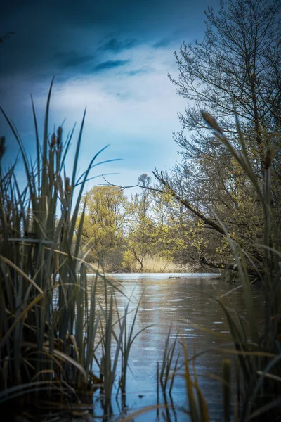 Pemandangan Yang Indah Dari Danau — Stok Foto