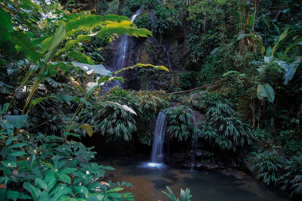 Wasserfall Garten — Stockfoto
