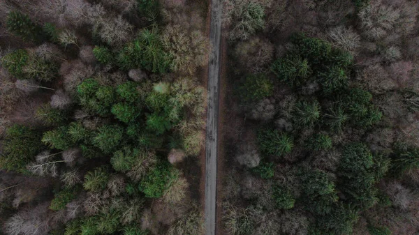 Вид Повітря Ліс Вранці — стокове фото
