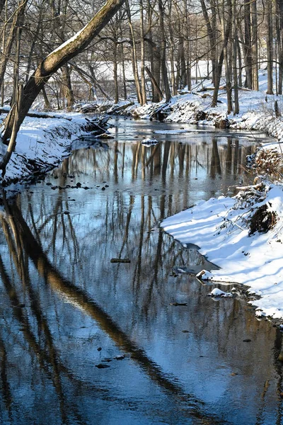 Rivière Dans Forêt — Photo