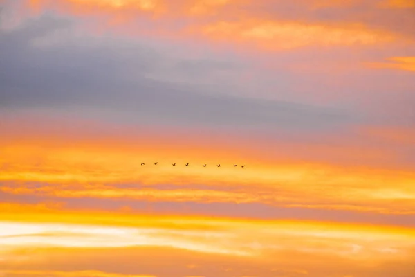 Beautiful Sunset Sky Clouds — Stock Photo, Image