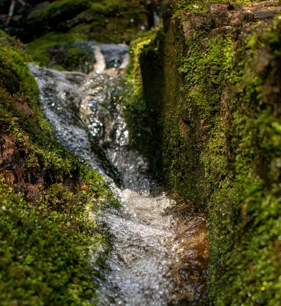 Belle Cascade Dans Forêt — Photo