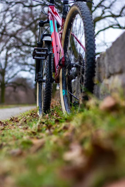 Cykel Skogen — Stockfoto