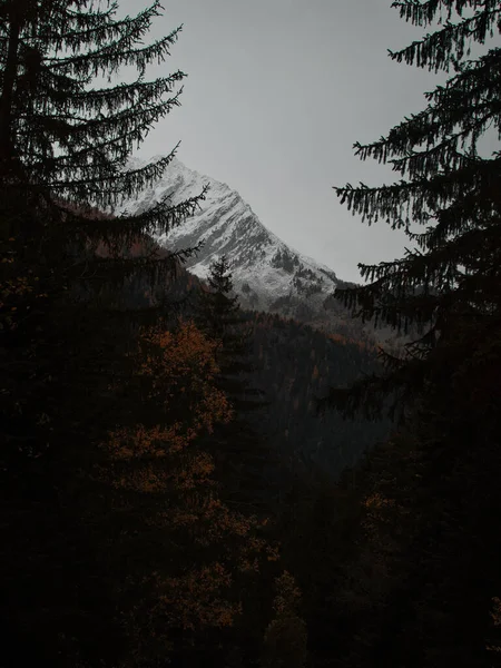 Dağlarda Dağları Olan Güzel Bir Manzara — Stok fotoğraf