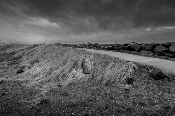 Zwart Wit Foto Van Een Prachtig Landschap — Stockfoto