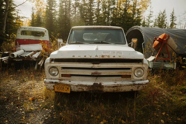 Oude Verlaten Auto Het Bos — Stockfoto