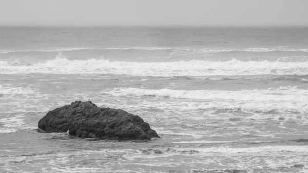 Blur South Africa Coastline Sea Coast Ocean Waves Rocks — Stock Photo, Image