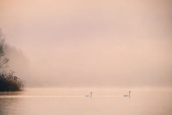 Krásná Krajina Jezerem Pozadí — Stock fotografie