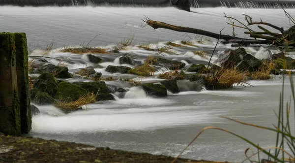 Belle Vue Sur Rivière Dans Forêt — Photo