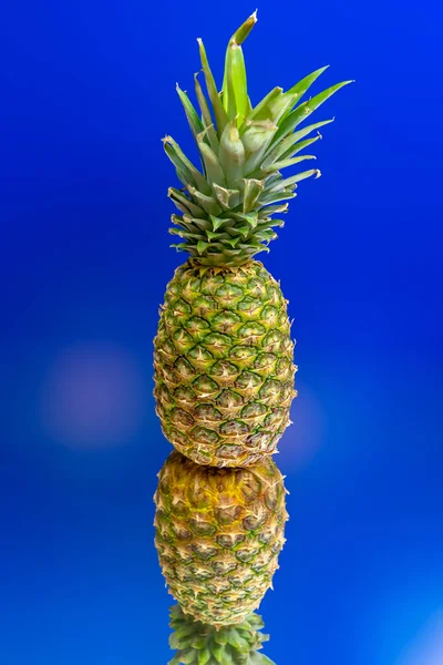 Ananas Niebieskim Tle — Zdjęcie stockowe