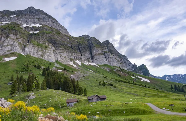 Vackert Landskap Med Berg Och Gröna Träd — Stockfoto