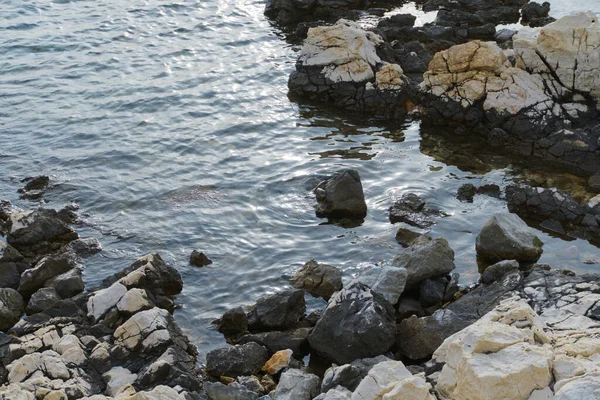 Ein Kleiner See Mit Steinen — Stockfoto
