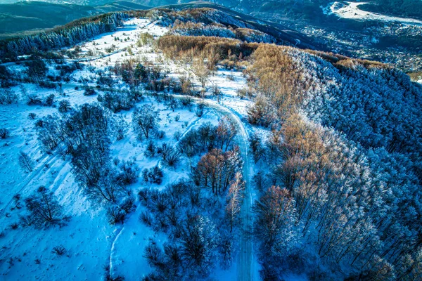 Luftaufnahme Des Waldes Winter — Stockfoto