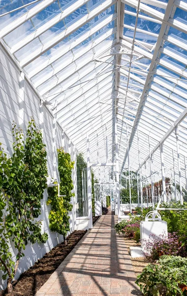 Växthus Med Växter Trädgården — Stockfoto