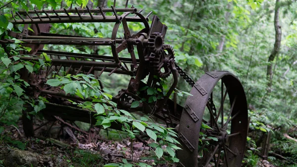 Altes Rostiges Metallrad Wald — Stockfoto