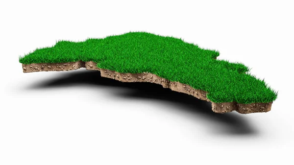 Darstellung Von Grünem Gras Mit Moos Auf Weißem Hintergrund — Stockfoto