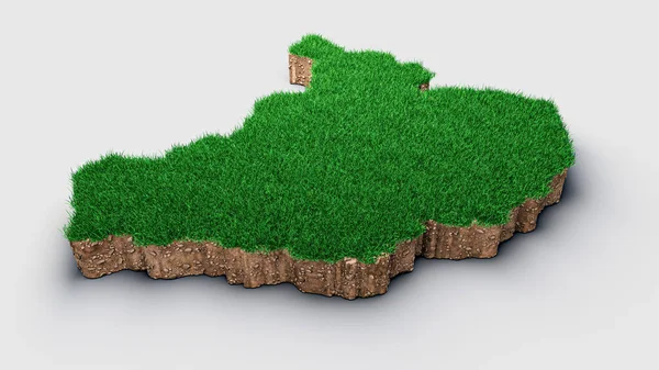 Grünes Gras Form Eines Baumes Darstellung — Stockfoto