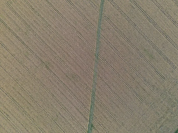 Luchtfoto Van Het Gebied Van Landbouwgebieden — Stockfoto