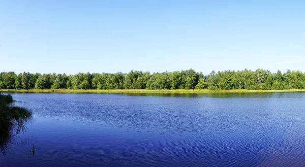Hermoso Paisaje Con Lago Bosque —  Fotos de Stock