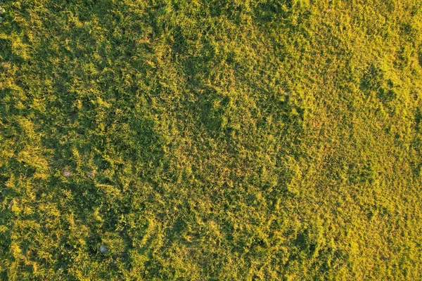 Vista Aerea Della Foresta Montagna — Foto Stock