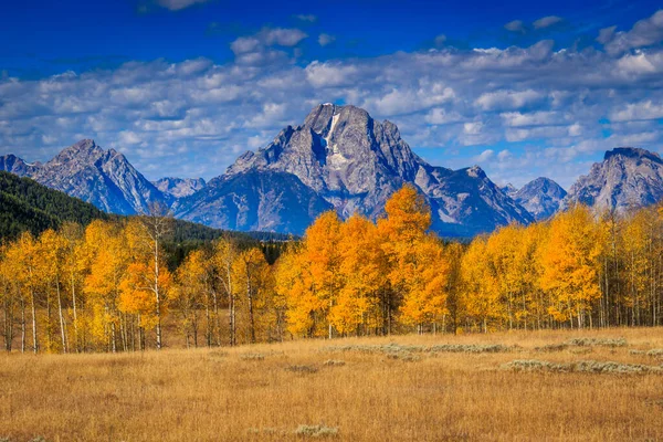 Schöne Herbstlandschaft Mit Bäumen Und Bergen — Stockfoto