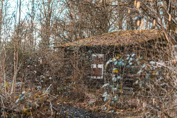 Detailní Záběr Dřevěného Plotu Bílým Pozadím — Stock fotografie