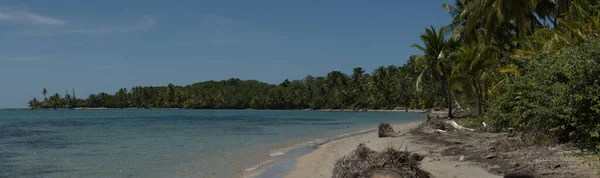 ヤシの木と青い空を持つ美しい熱帯ビーチ — ストック写真