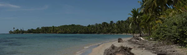 Belle Plage Tropicale Avec Palmiers Ciel Bleu — Photo