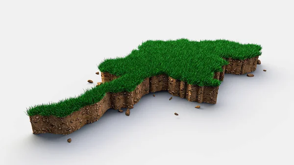 白い背景の緑の草 3Dレンダリング — ストック写真