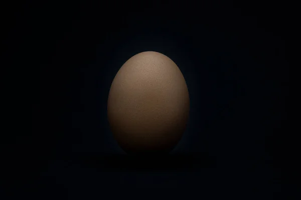 White Egg Black Background — Stock Photo, Image