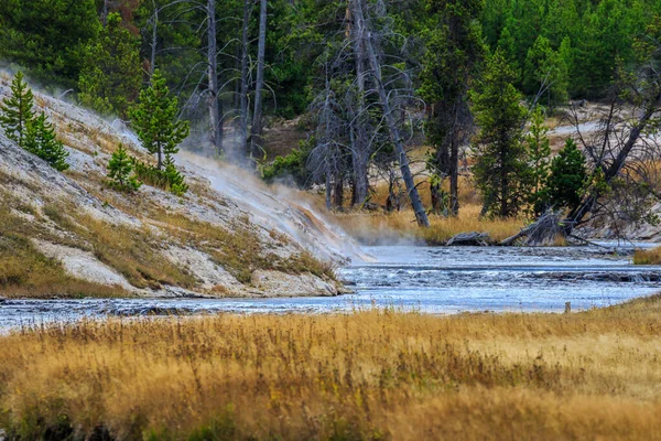 Yellowstone National Park Wyoming Usa — Stock Photo, Image