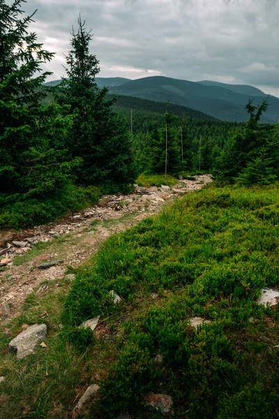 Wunderschöne Landschaft Mit Einem Gebirgsfluss Den Bergen — Stockfoto