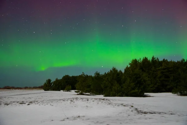 Aurora Borealis Över Det Arktiska Landskapet Vintern — Stockfoto