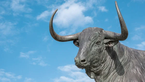 Bufalo Nel Cielo — Foto Stock