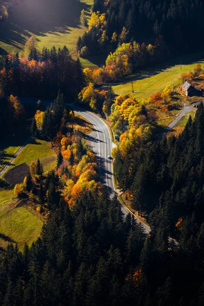 Vue Aérienne Route Dans Forêt Automne — Photo