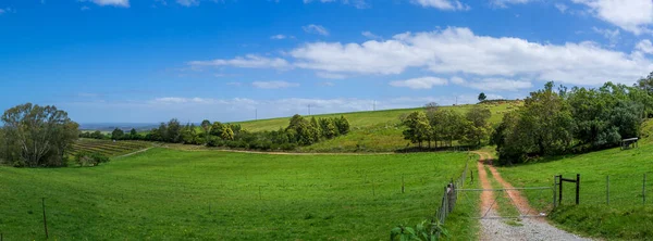 Prachtig Landschap Met Een Veld Van Groen Gras Blauwe Lucht — Stockfoto